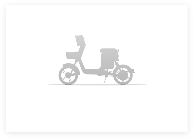 moped electric bike manufacturer, moped electric motorcycles distributor