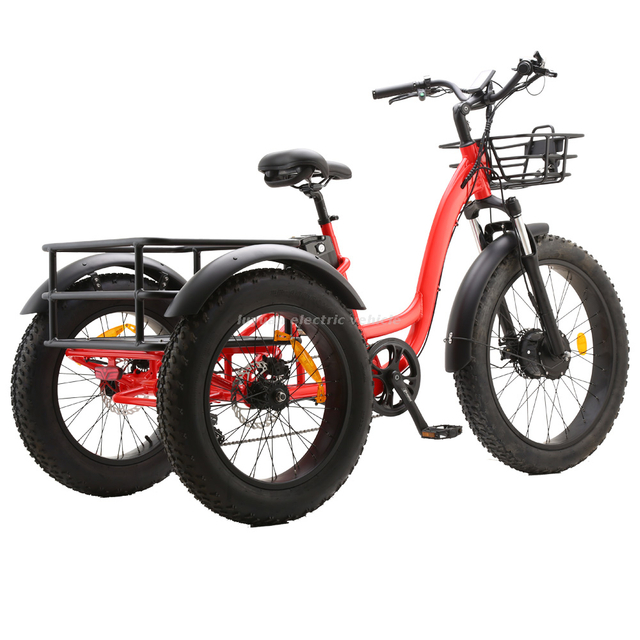 Electric Tricycle ET01