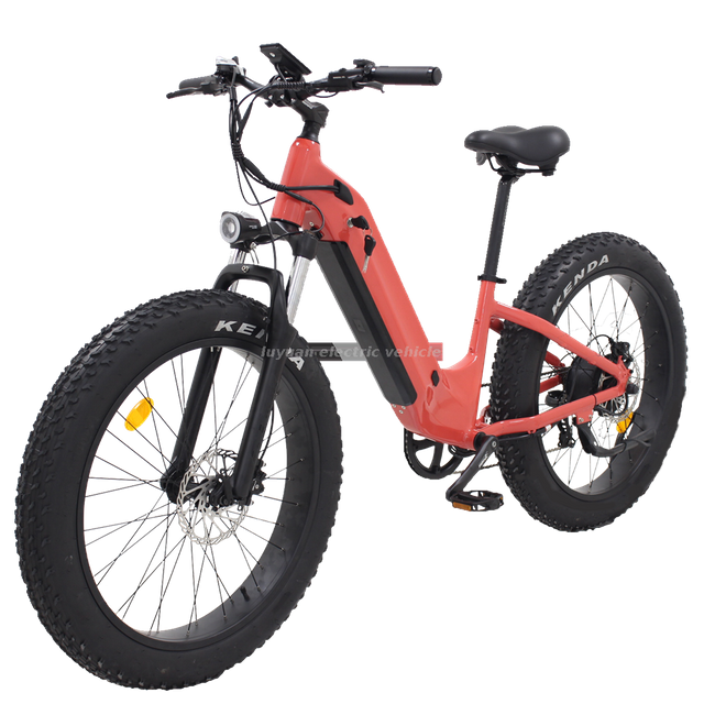 EB 2C OKAWA-LUYUAN Rear Hub Motor 750W NCM Lithium Electric Bicycles