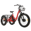 Electric Tricycle ET01