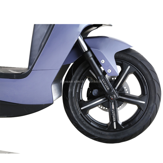 MKK-12 EEC Version Electric Motorcycles from China manufacturer - Luyuan e-vehicle