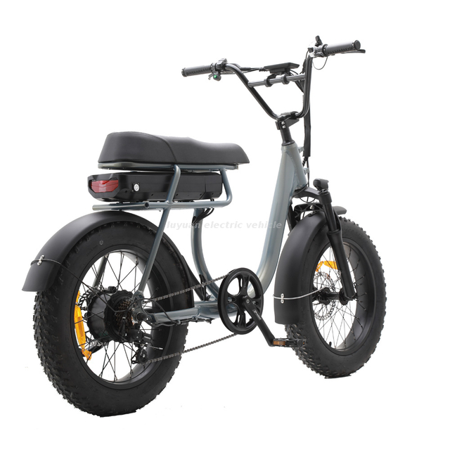 Middle Drive Bicycle Black Hike Electric Bicycles
