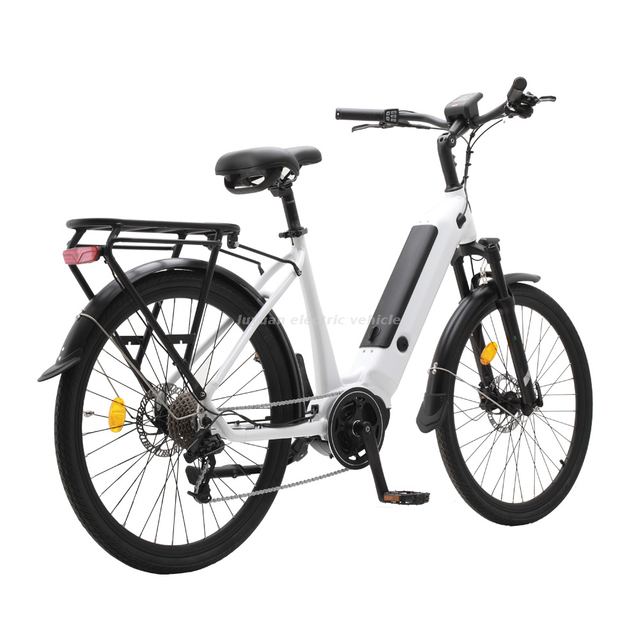 Pas Bicycle Bafang Traffic Electric Bicycles