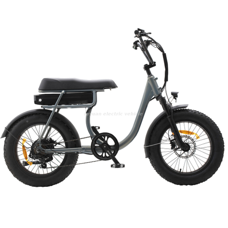 Luyuan electric hot sale bike