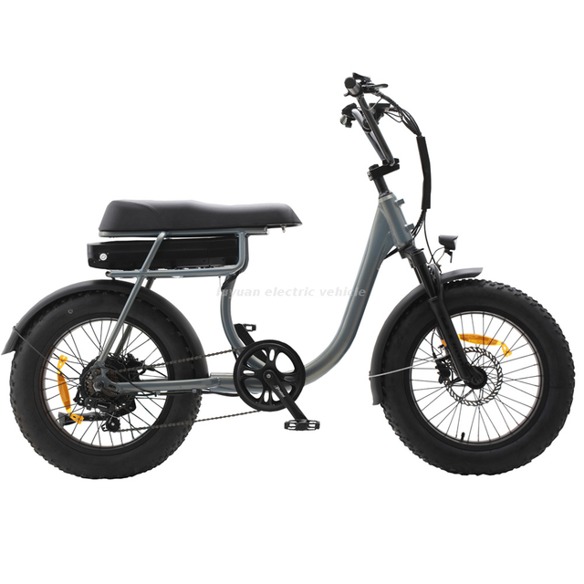 Middle Drive Bicycle Black Hike Electric Bicycles