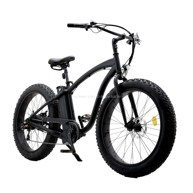Electric Bicycle EL 01