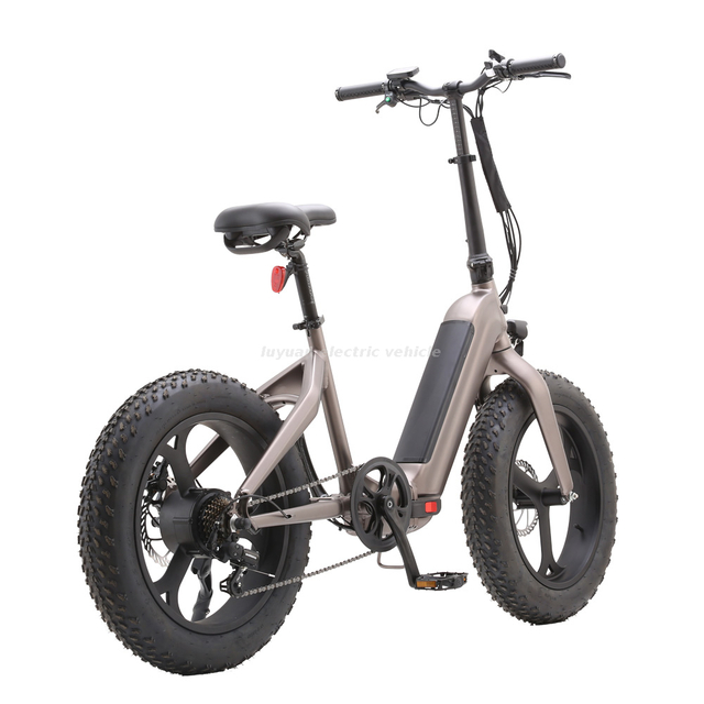 Fat Tire Electric Folding Bicycle FB 02