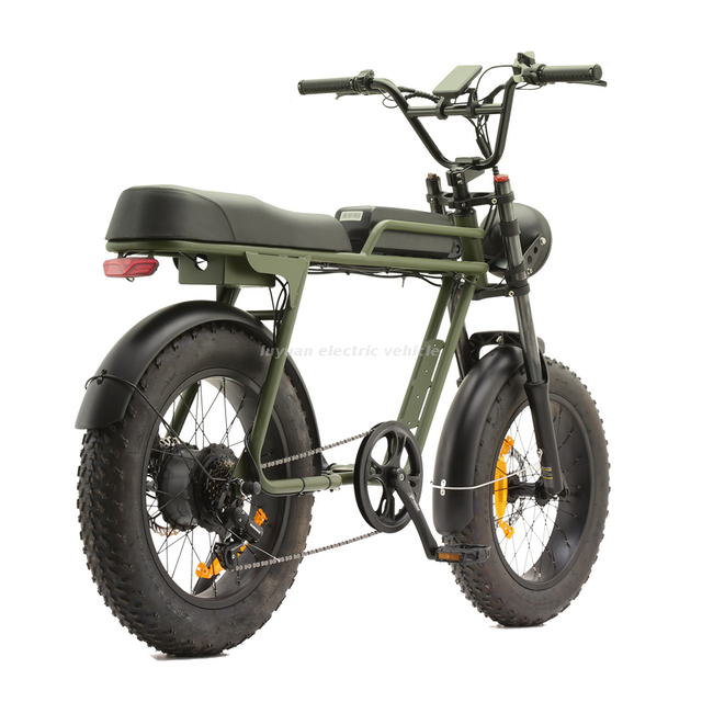 Electric Vintage Bike EH 03