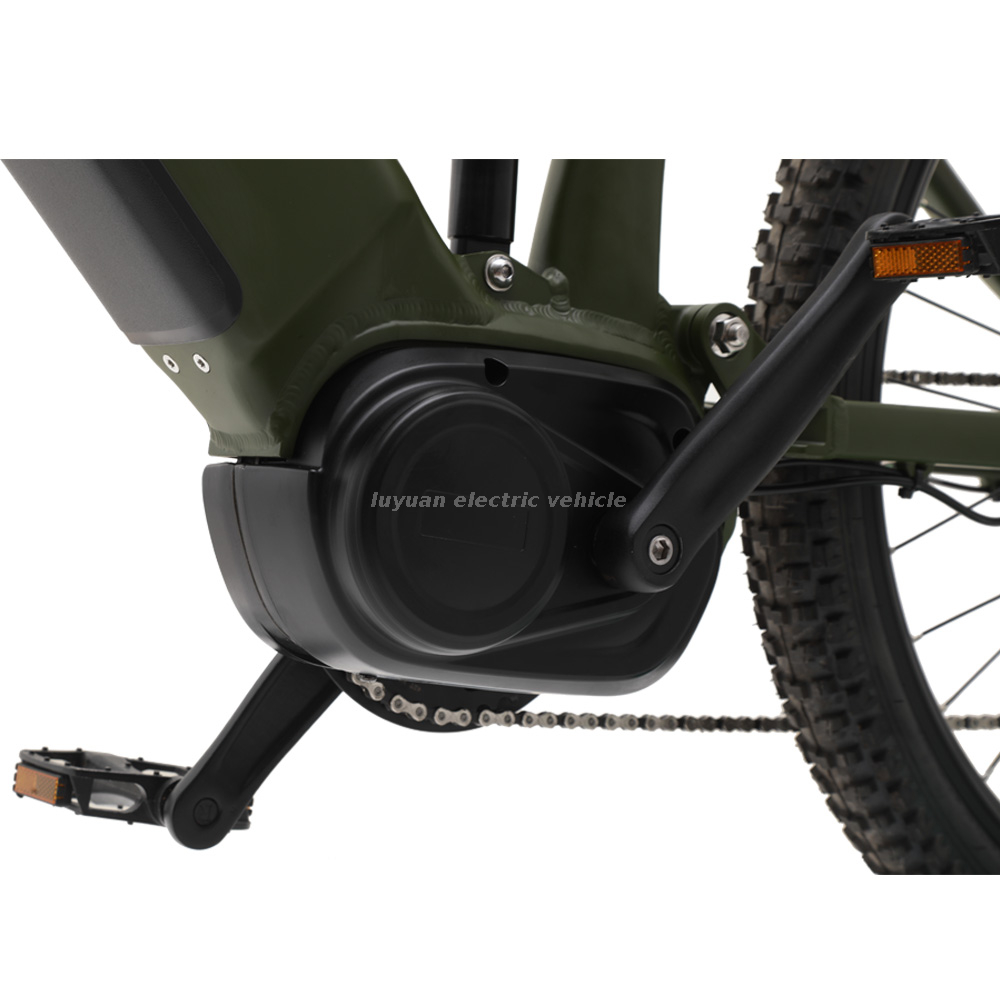 Ncm Lithium Battery Kenda Adult Electric Bicycles