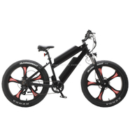 Electric Bicycle EM 02WD
