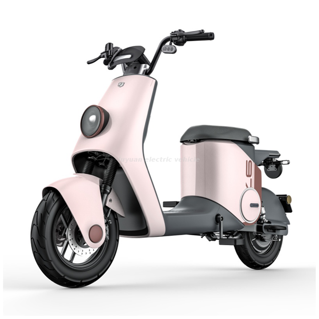 E-ZQQ2 600W 6X Liquid Cooling Motor Lead Acid Battery Low Speed Electric Scooter