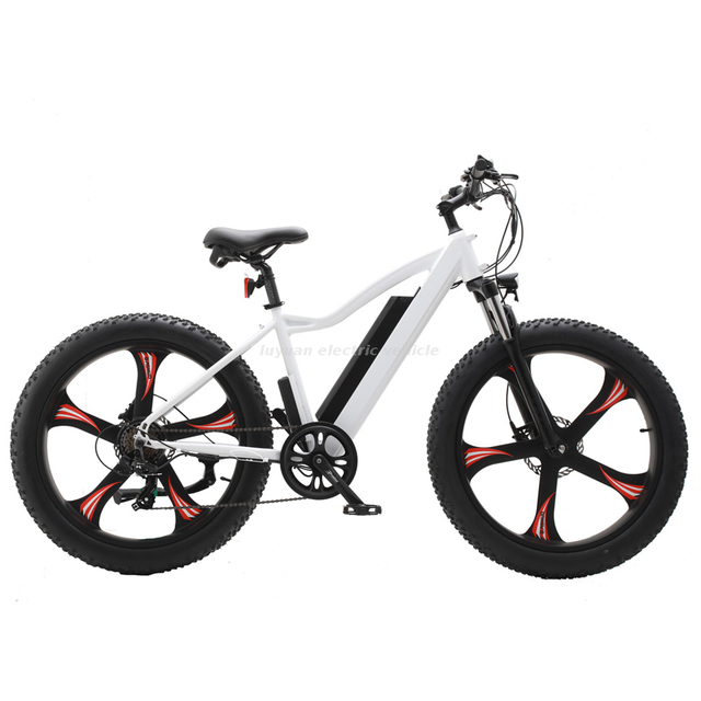 Ebicycle 32km/h New Promoted Electric Bicycles