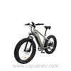 EB 2M OKAWA-LUYUAN Rear Hub Motor 750W NCM Lithium Electric Bicycles