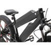 Electric Bicycle EM 02WD