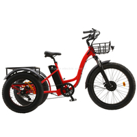 Electric Tricycle ET01