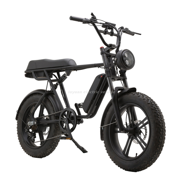 Electric Vintage Bike EH 02