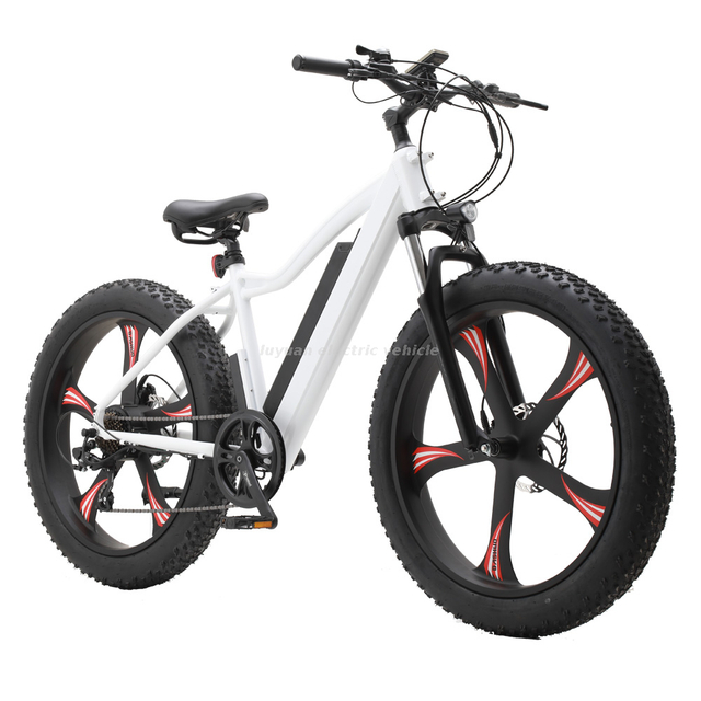 Ebicycle 32km/h New Promoted Electric Bicycles