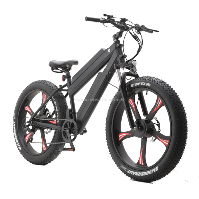 Electric Bicycle EM 02WD