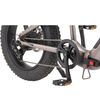 Fat Tire Electric Folding Bicycle FB 02