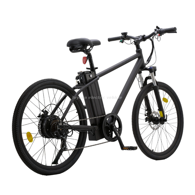 Electric Bicycle EM 03